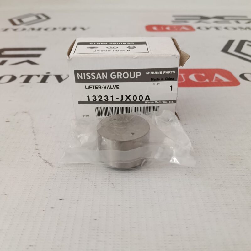 Subap Fincanı1.6 16V H4M - Renault Megane 4 Duster 13231JX00A